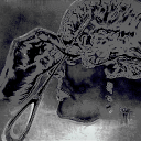 Lobotomia Discord server icon