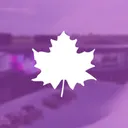 Maple Rings Academy - Closed