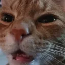 A Rift Between Universes || DJ2L