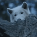 𝐓𝐡𝐞 𝐒𝐩𝐢𝐫𝐢𝐭𝐞𝐝 𝐓𝐫𝐢𝐧𝐢𝐭𝐲. Discord server icon