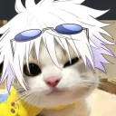 Kat