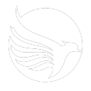 Discovery icon for Falcon Tweaks Discord server