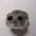 파이브엠 자료방