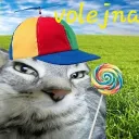 Volejna