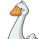 HOnK