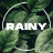 Rainy Garden