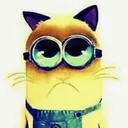 maison de blep 🧸ིྀ