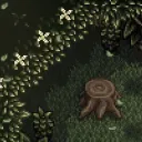 the secret woods 🪵🌲