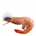 The Mold Discord server icon