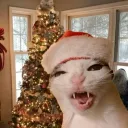 The Mitten 21+ discord icon