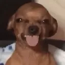 GenZverse | VC • CHILL• SOCIAL • INTERNATIONAL &  MORE Discord server icon