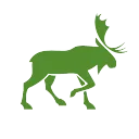 Drifting Moose