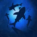 Shark Tank