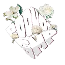 RODNOI SMP