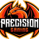 Precision Gaming