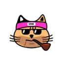ONE CAT