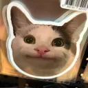 モアイのサーバー