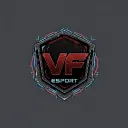 VF  ESPORTS