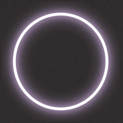 𝕄𝕠𝕠𝕟𝕝𝕚𝕘𝕙𝕥 — мониторинг Discord сервера, статистика и рейтинг