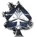 Platinum Spade Server