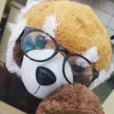 red panda army