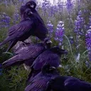 The Ravens Graveyard