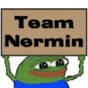 Team Nermin