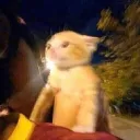 Ryan Gosling aa Discord server icon