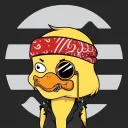 Aptos Duck