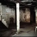 Jackie's Basement