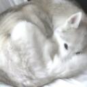Heaven Discord Server
