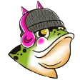 BEANS BEANIES