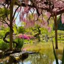 𝑻𝒉𝒆 𝒈𝒂𝒓𝒅𝒆𝒏 𝒐𝒇 𝒅𝒊𝒔𝒂𝒓𝒓𝒂𝒚 Discord server icon