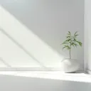 ethereal | chill space x