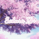 ₊‧❀‧₊ 𝒮𝒶𝓀𝓊𝓇𝒶 𝟣𝟪+ ₊‧❀‧₊ avatar