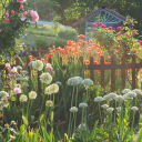 ◟ .ᐟ   🌱     strawbliss ┊┊     ✿⸝⸝ Discord server icon