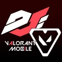 DvSカスタム【VALOM】