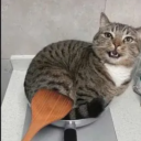 Internet Problems