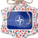 WIP! NATO: North Atlantic Treaty Organisation [RP]!WIP Discord Server Icon