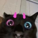 𝓨𝓾𝓱𝓷𝓸'𝓼 𝓗𝓸𝓶𝓮