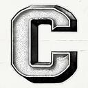 **+ CARTI'S STUDIO+** Discord Server Icon