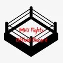 IMVUfights:Challenges and Lovers