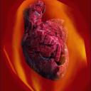 The Heart of Lorkhan