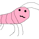 Shrimpland