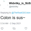 widvilky tweet archive