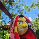 Pavin's Playhouse
