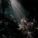 𓇢𓆸 𝑇ℎ𝑒 𝐸𝑛𝑐ℎ𝑎𝑛𝑡𝑒𝑑 𝐴𝑟𝑐ℎ𝑖𝑣𝑒 ₊˚⊹♡ 21+ discord icon