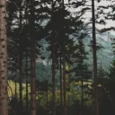 𓇢𓆸 𝑇ℎ𝑒 𝐸𝑛𝑐ℎ𝑎𝑛𝑡𝑒𝑑 𝐴𝑟𝑐ℎ𝑖𝑣𝑒 ₊˚⊹♡ 21+ discord icon