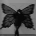 ♦🦋Butterfly Garden🦋♣ Discord Server