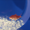 Barrie 2.0 Discord server icon